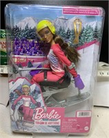 Barbie You Can Be Everything  Para Skier