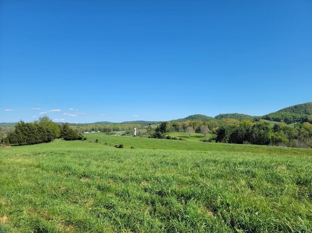 Offering #4 - +/- 11.459 acres
