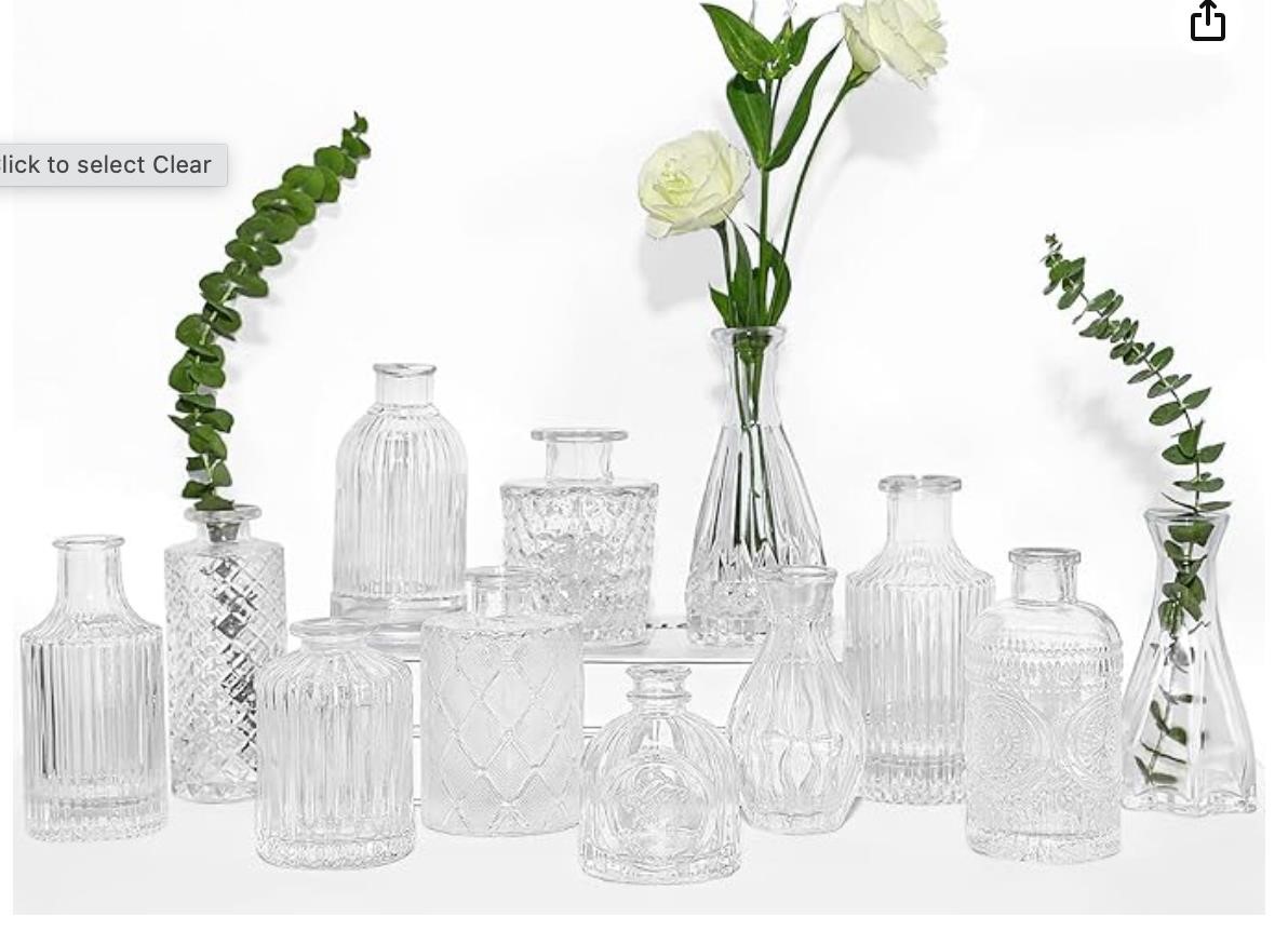 Glass Bud Vases Set of 12, TBWIND Small