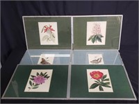 Group of floral lithographs