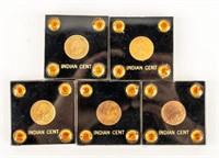 Coin 5 Encapsulated Indian Head Cents