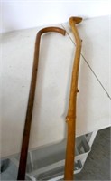 Walking Stick & Cane