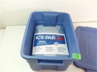 2 Ice Packs & Rubbermaid Bin 11.3 L