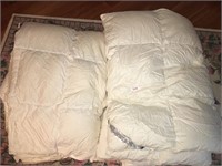 Set of 2 Full Size Ambiente Bed Comforters