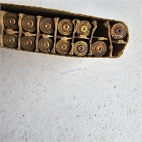 5.56mm Cases