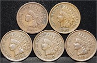 5 Nice Indian Head Pennies