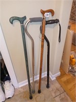 assortment of canes