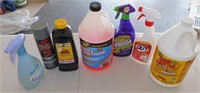 Household Cleaners & Tiki Torch Fuel