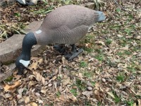 Plastic yard geese