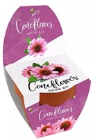 Cotta Coneflower Grow Kit