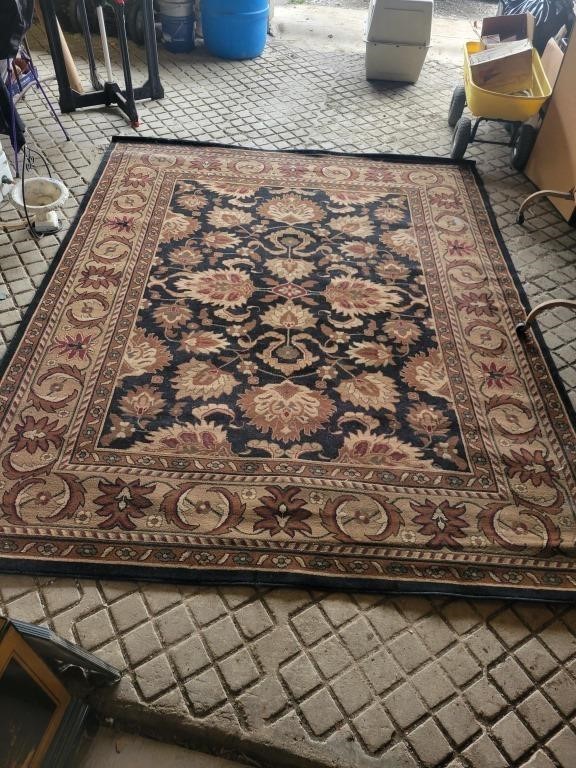 Area Rug - approx 10'x8'