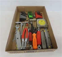 Tray Lot of Tools