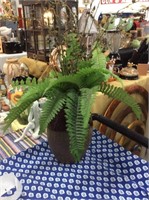Vase with ferns