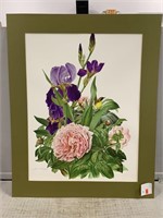 Flowers of America Print Signed & Dated 1976