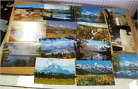 Large Unused Postcards of Yellowstone