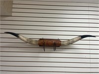 Long Horn Mount Decorated on Wooden Plaque