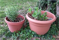 Two (2) Plastic Planter Pots - One is 16"T x 2