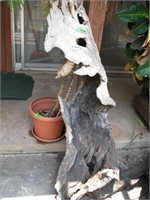 Unusual Wooden tree trunk