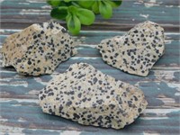 DALMATION JASPER ROCK STONE LAPIDARY SPECIMEN