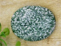 TREE AGATE WORRY STONE ROCK STONE LAPIDARY SPECIME