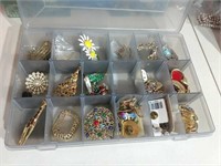 Group of Costume Brooches & More  in Organizer