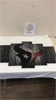 Houston Texans picture