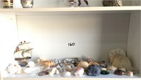 Set Of Various Seashells Collectors Item