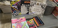 Adult coloring books and colored pencils