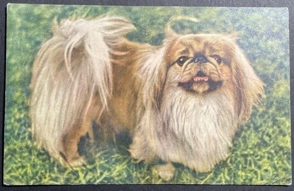 Vintage Pekingese Lithograph PPC