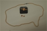 Cosmetic Necklace, Pin and Earring Set