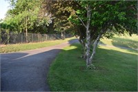 Some views of paved driveway