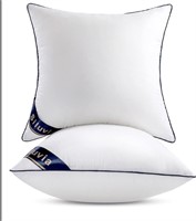 Siluvia pillow set of 2