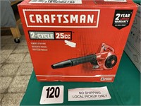 CRAFTSMAN GAS POWERED BLOWER LIKE NEW