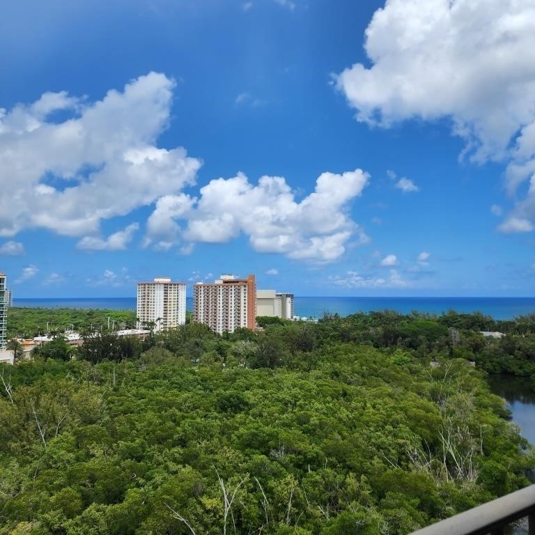 Ft Lauderdale Intercoastal Condo