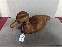 Duck Decoy:
