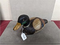 Mallard Duck: