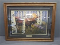 ~ " Bull" Moose Print by Hayden Lambson 26x34"