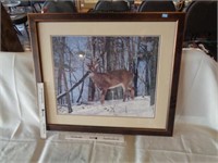 Framed Deer Photo Print