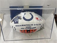 Indianapolis Colts 2009 AFC Champions Football in