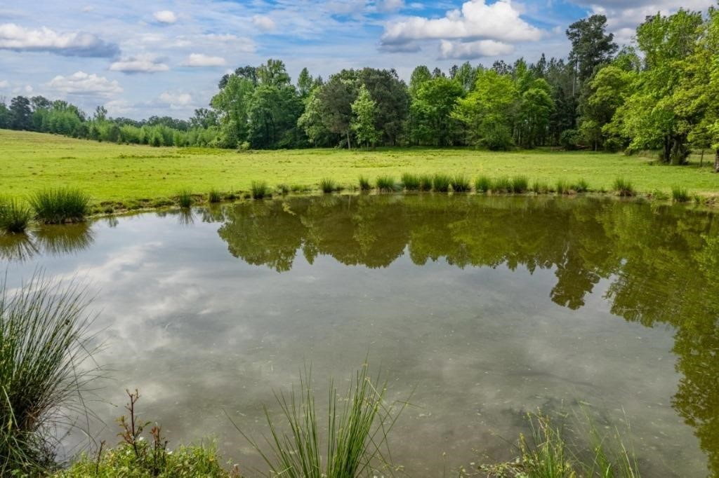 Tract #3: 15+/- Acres * Pasture and Pond
