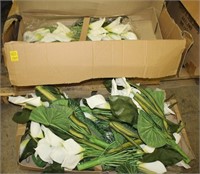 Box of Cream Lilies