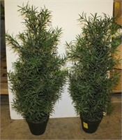 Two Potted Artificial Green Shrubs