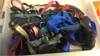 BX OF DOG COLLARS & LEASHES