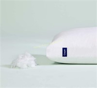 Casper $64 Retail Pillow

Sleep Pillow for