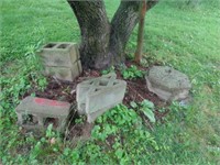 CONCRETE BY TREE TOWARD POND