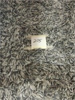 Area rug with long pile. Approximately 8’ x 5’