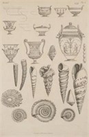 Seashells and Vases, Etching After Piranesi.