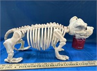 Halloween Dog Skeleton