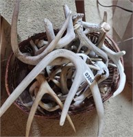 Basket Full of Antler Sheds