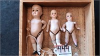 Auction of Bisques Dolls and Related Items.